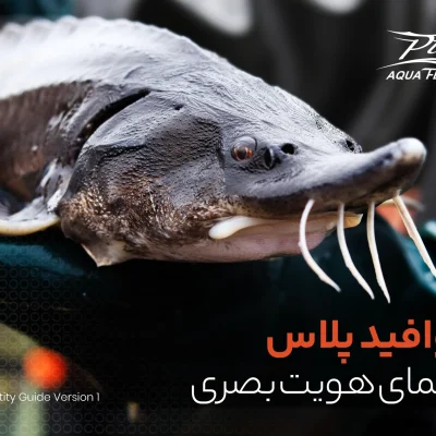 Digital Brandbook AquaFeed Plus